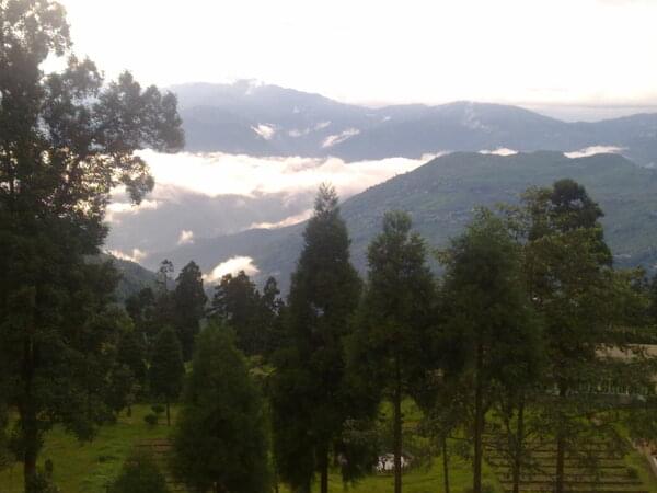 Darjeeling Universal Campus Facility & Environment photo 7